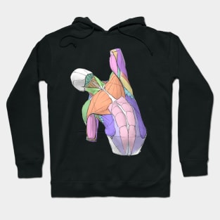 human body anatomy 6 Hoodie